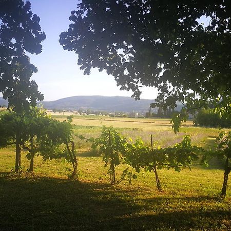 Claudia Vacanza Toscana - Appartamento Melograno -10 Min Da Siena سوفيتشيلي المظهر الخارجي الصورة