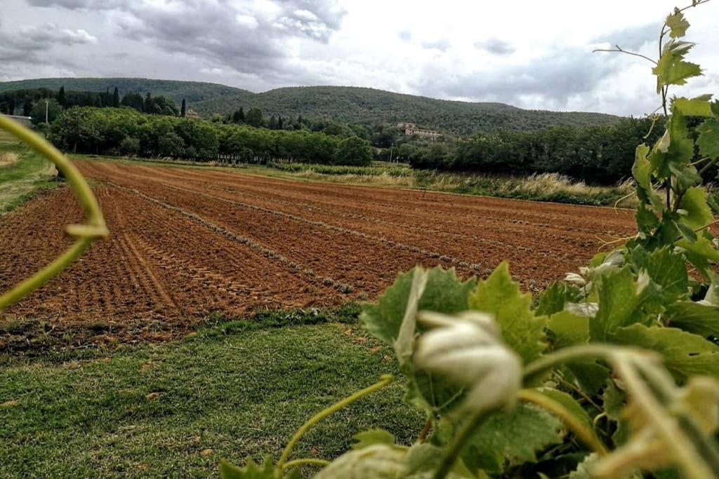 Claudia Vacanza Toscana - Appartamento Melograno -10 Min Da Siena سوفيتشيلي المظهر الخارجي الصورة