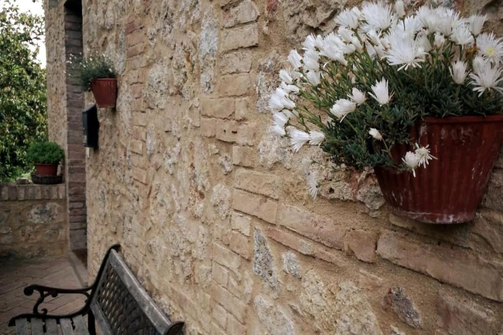 Claudia Vacanza Toscana - Appartamento Melograno -10 Min Da Siena سوفيتشيلي المظهر الخارجي الصورة